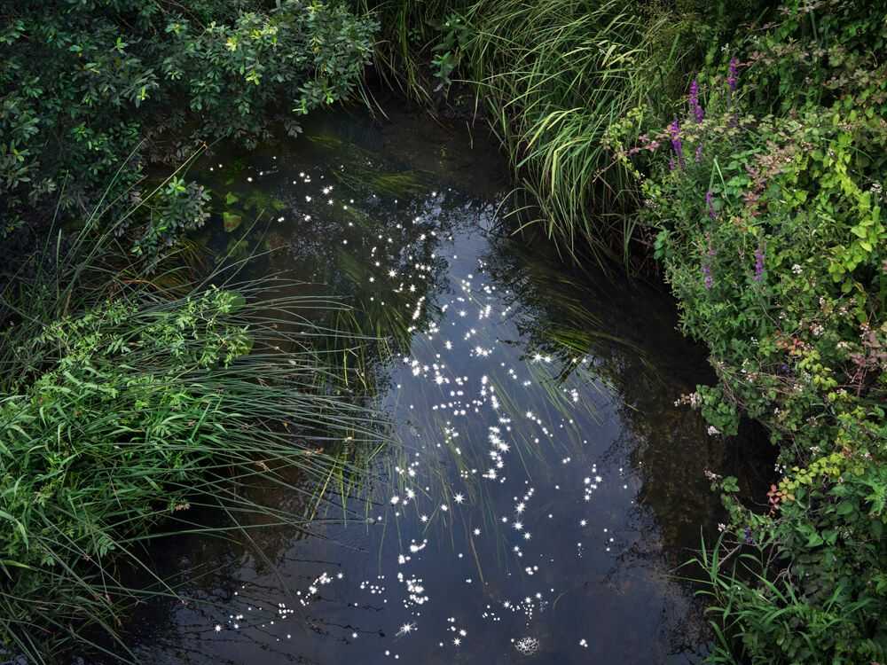 Ellie Davies, ‘Chalk Stream 12 (Large)’, 2023, Print, Digital C-Type on Fuji Crystal Archive Paper in Maxima Matte, null, 