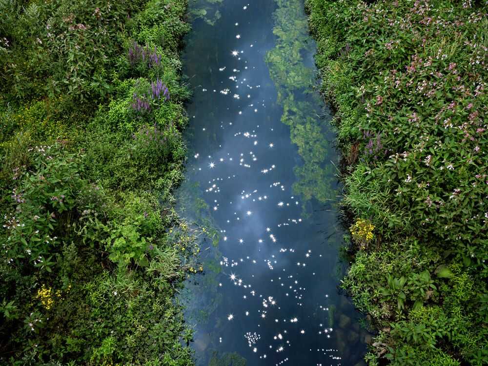 Ellie Davies, ‘Chalk Stream 2 (Large)’, 2023, Print, Digital C-Type on Fuji Crystal Archive Paper in Maxima Matte, null, 