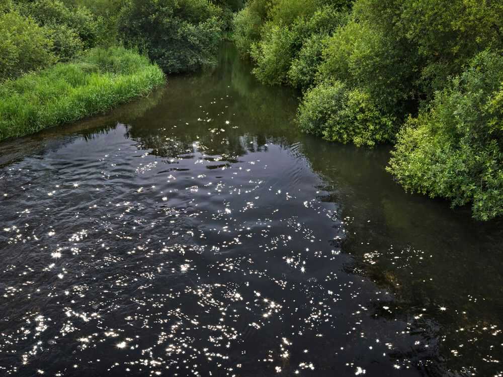 Ellie Davies, ‘Chalk Stream 3 (Small)’, 2023, Print, Digital C-Type on Fuji Crystal Archive Paper in Maxima Matte, null, 