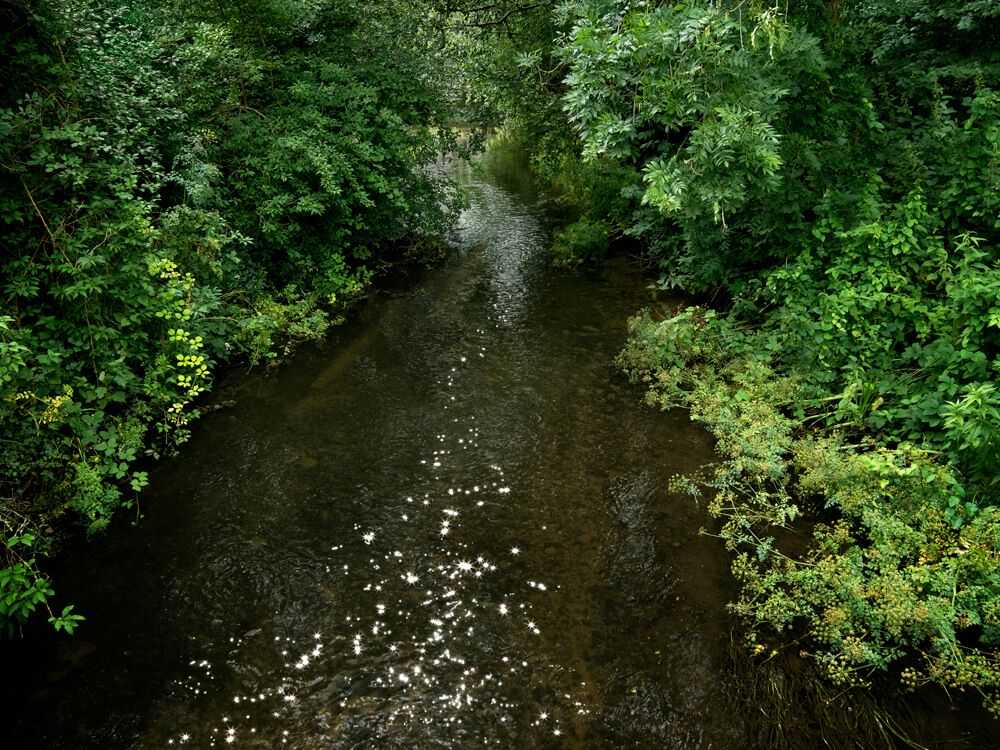 Ellie Davies, ‘Chalk Stream 5 (Large)’, 2023, Print, Digital C-Type on Fuji Crystal Archive Paper in Maxima Matte, null, 