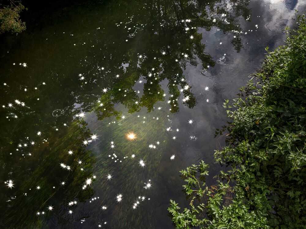 Ellie Davies, ‘Chalk Stream 6 (Medium)’, 2023, Print, Digital C-Type on Fuji Crystal Archive Paper in Maxima Matte, null, 