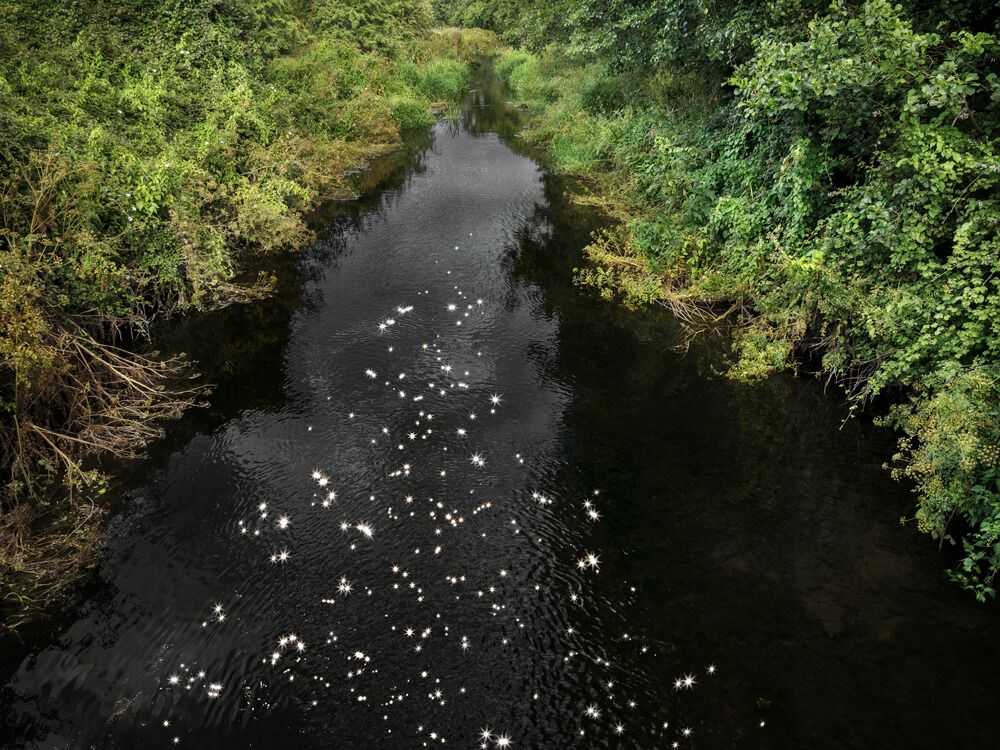 Ellie Davies, ‘Chalk Stream 8 (Medium)’, 2023, Print, Digital C-Type on Fuji Crystal Archive Paper in Maxima Matte, null, 