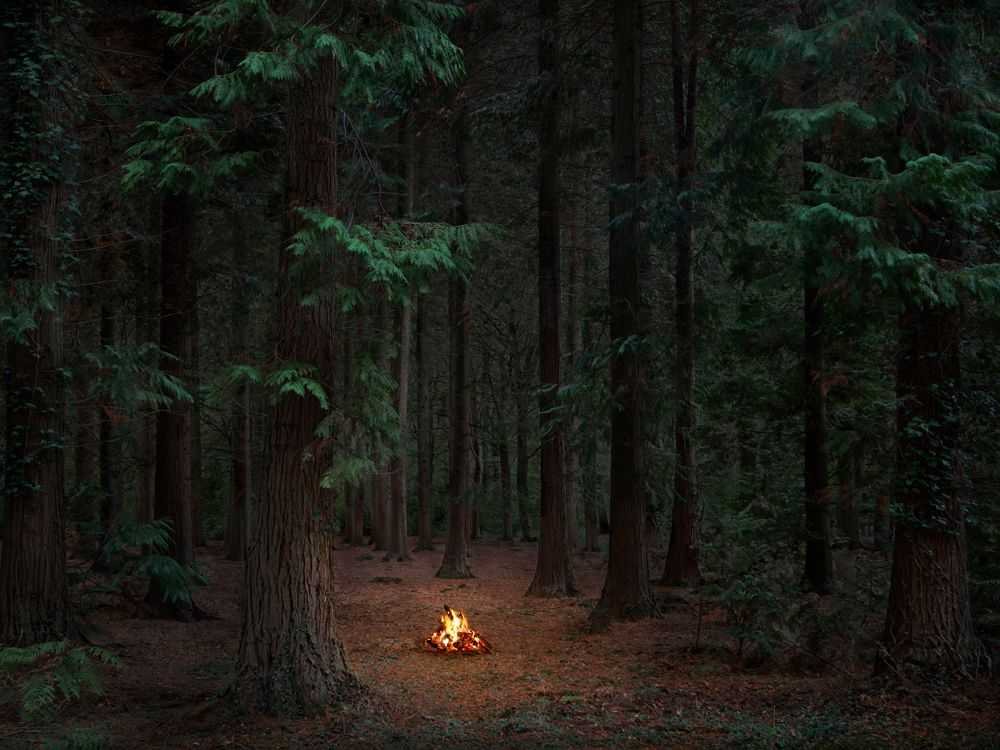 Ellie Davies, ‘Fires 10 (Small)’, 2018, Print, C-Type Lightjet Print, null, 