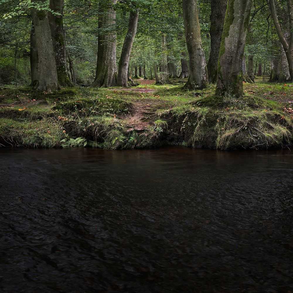 Ellie Davies, ‘Half Light 11 (Large)’, 2016, Print, C-Type Lightjet Print, null, 