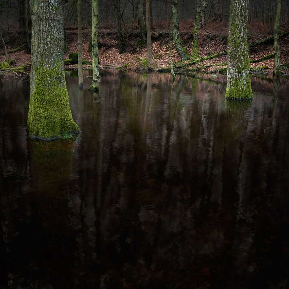 Ellie Davies, ‘Half Light 1 (Large)’, 2016, Print, C-Type Lightjet Print, null, 