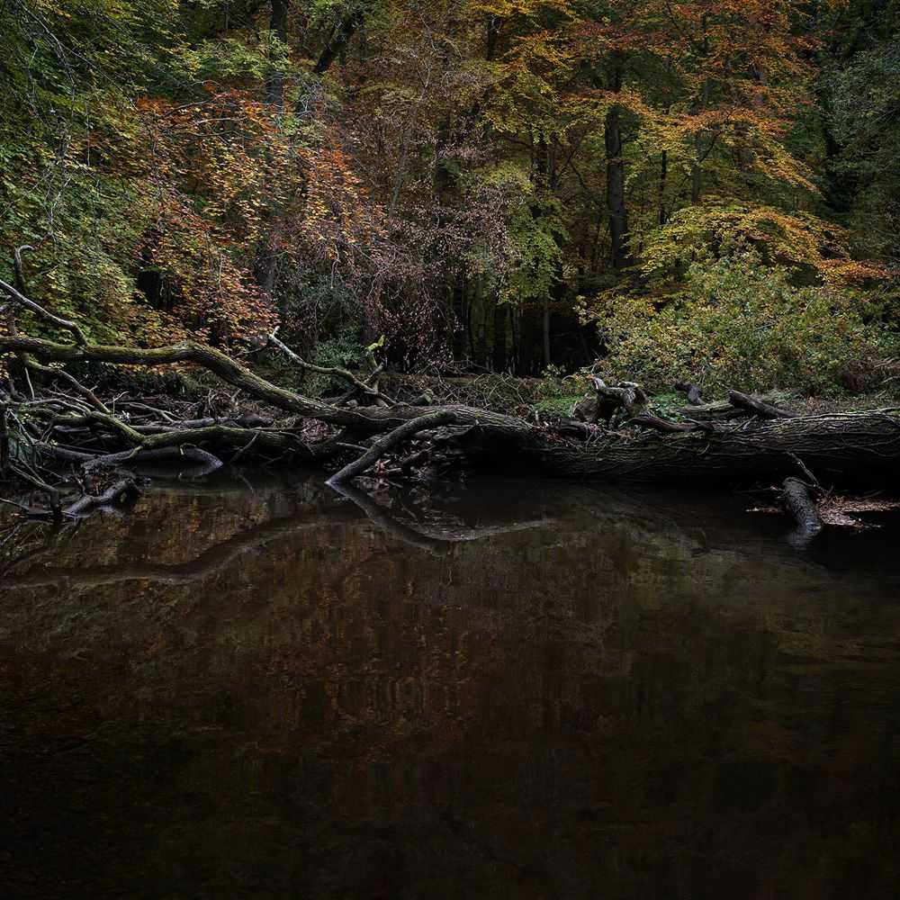 Ellie Davies, ‘Half Light 2 (Small)’, 2016, Print, C-Type Lightjet Print, null, 