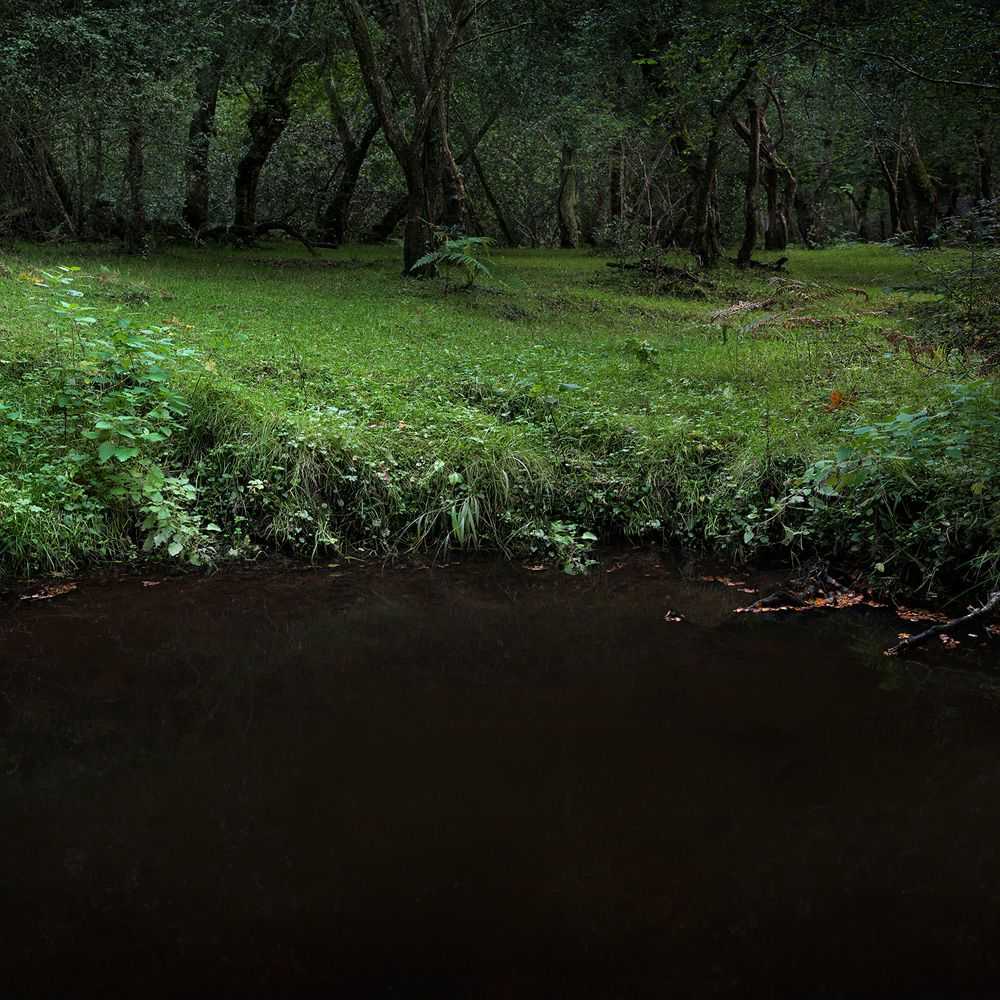 Ellie Davies, ‘Half Light 3 (Small)’, 2016, Print, C-Type Lightjet Print, null, 