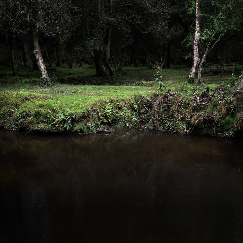 Ellie Davies, ‘Half Light 5 (Small)’, 2016, Print, C-Type Lightjet Print, null, 