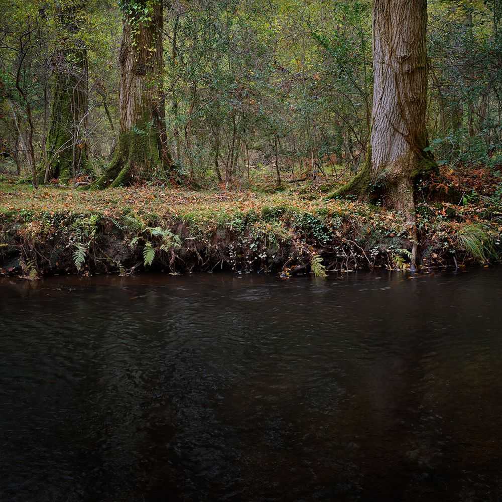Ellie Davies, ‘Half Light 8 (Large)’, 2016, Print, C-Type Lightjet Print, null, 