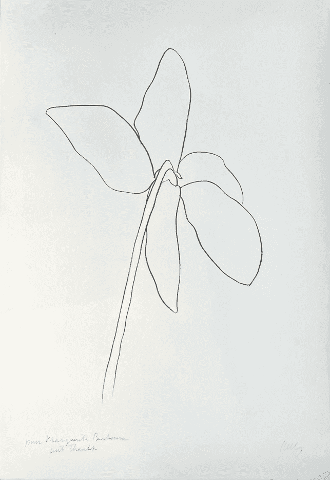 Ellsworth Kelly, ‘Cyclamen IV’, 1965, Print, Lithograph, null, Numbered