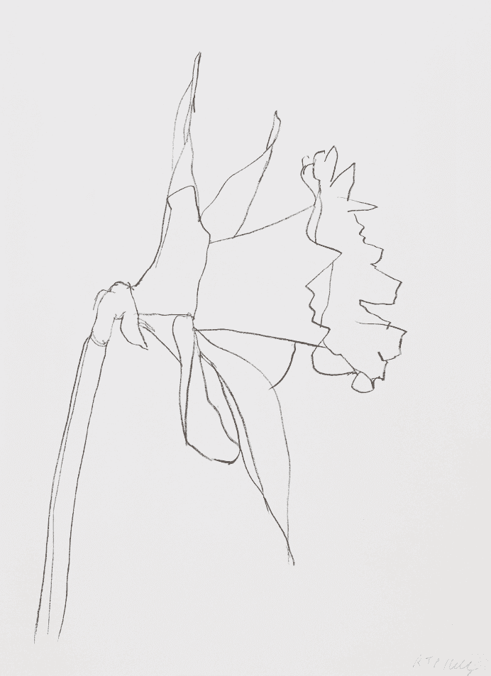 Ellsworth Kelly, ‘Daffodil’, 2004, Print, 1-color lithograph, Gemini G.E.L., Numbered