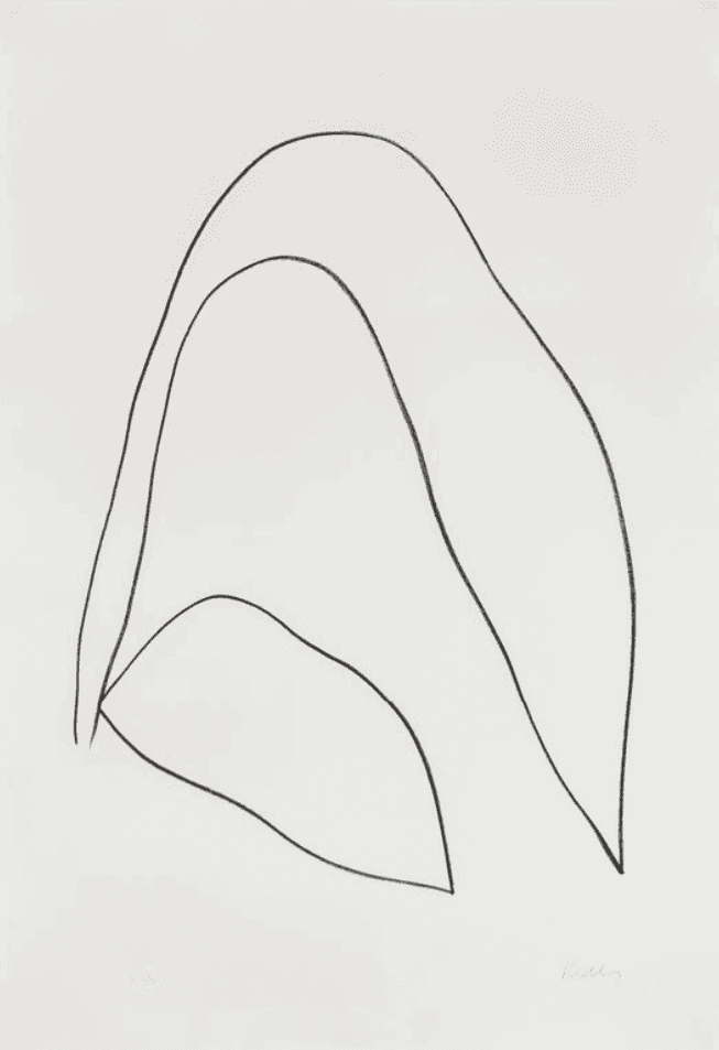 Ellsworth Kelly, ‘Leaves II’, 1965, Print, Lithograph, Maeght Edteur, Numbered