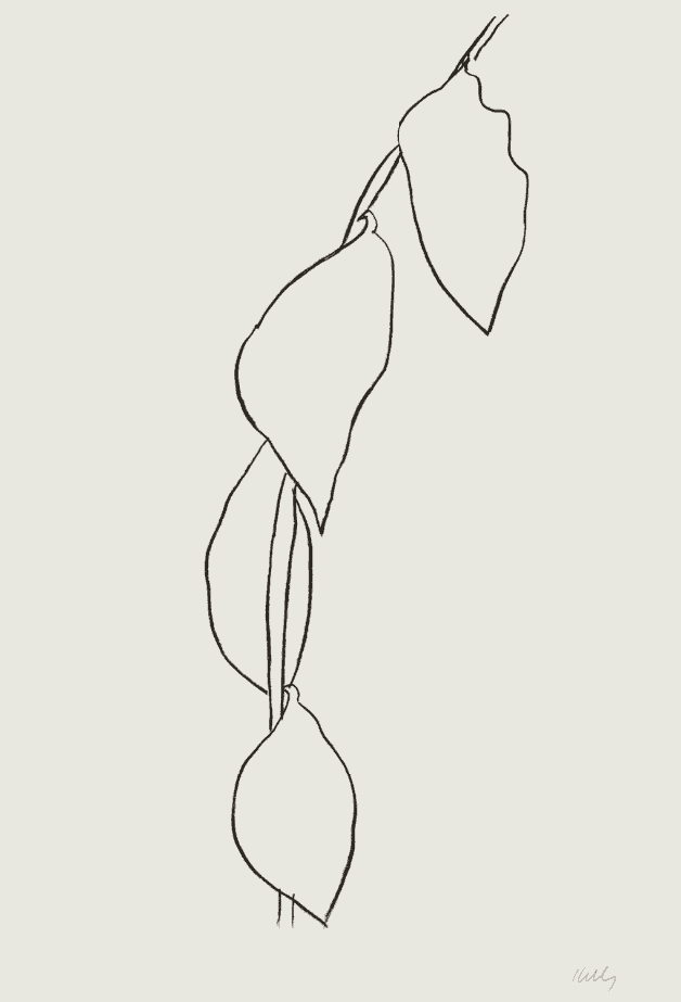 Ellsworth Kelly, ‘Lemon Branch’, 1966, Print, Lithograph, Maeght Éditeur, Numbered
