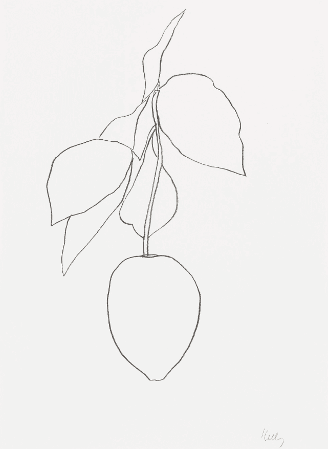 Ellsworth Kelly, ‘Lemon (Citron)’, 1965, Print, Lithograph, Maeght Éditeur, Numbered
