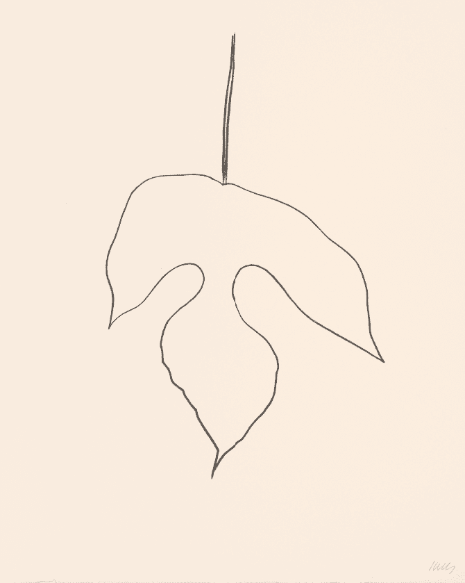Ellsworth Kelly, ‘Mulberry Leaf’, 1980, Print, Lithograph, Tyler Graphics Ltd., Numbered