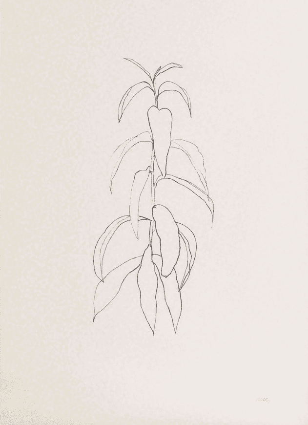 Ellsworth Kelly, ‘Peach Branch’, 1974, Print, Lithograph, null, Numbered