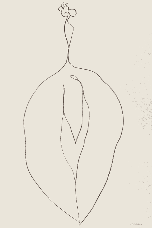 Ellsworth Kelly, ‘Seaweed’, 1966, Print, Lithograph on Rives BFK white paper, null, Numbered