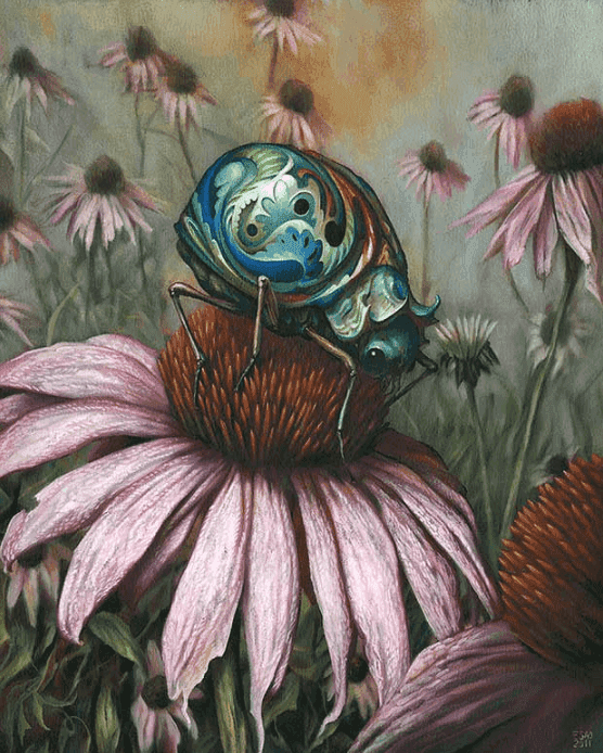 Esao Andrews, ‘Echinacea’, 2012, Print, Giclee Print, null, Numbered