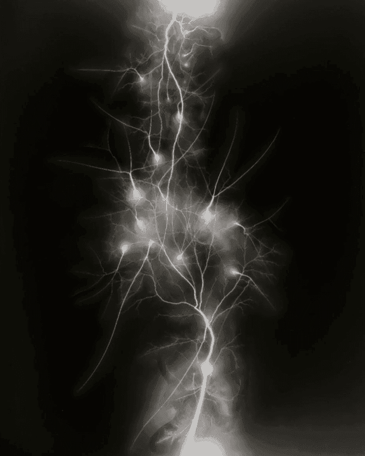 Hiroshi Sugimoto, ‘Lightning Fields, 0011’, 2009, Print, Lithograph printing on Phoenix Motion Zantur 115g/sm paper, Damiani and Matsumoto Editions, Numbered