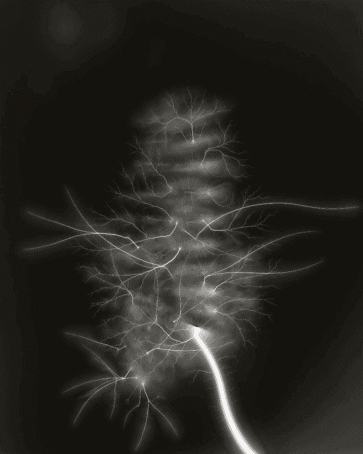 Hiroshi Sugimoto, ‘Lightning Fields, 009’, 2009, Print, Lithograph printing on Phoenis Motion Zantur 115g/sm paper, Damiani and Matsumoto Editions, Numbered