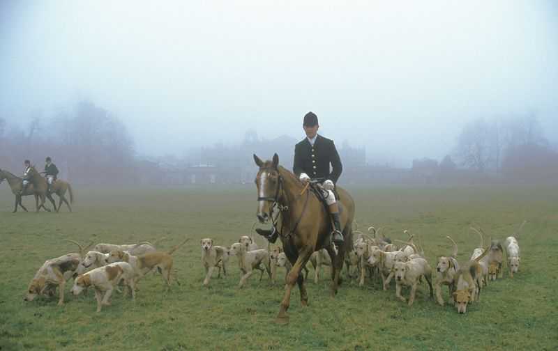 Homer Sykes, ‘Riders And Hounds’, 1980, Photography, Archival Pigment print, null, 