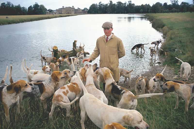 Homer Sykes, ‘The Master Of Hounds’, 1980, Photography, Archival Pigment print, null, 