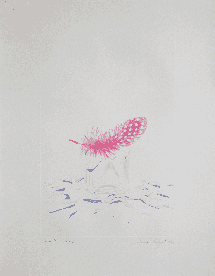 James Rosenquist, ‘Plume’, 1982, Print, 3 color aquatint/etching, Gemini G.E.L., Dated