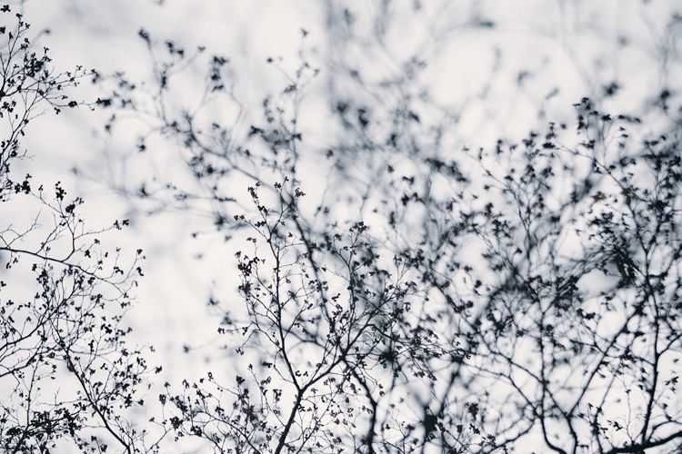 Jaume Llorens Bach, ‘Deep Inside III 7 (Large)’, 2018, Print, Giclée Print, null, Numbered