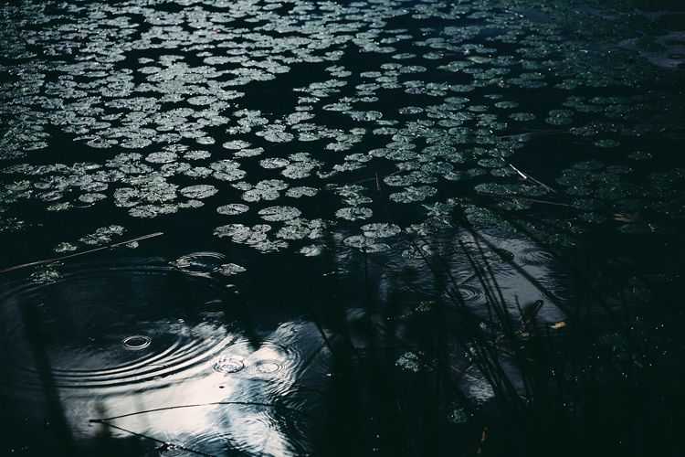 Jaume Llorens Bach, ‘Deep Inside III 8 (Small)’, 2018, Print, Giclée Print, null, Numbered