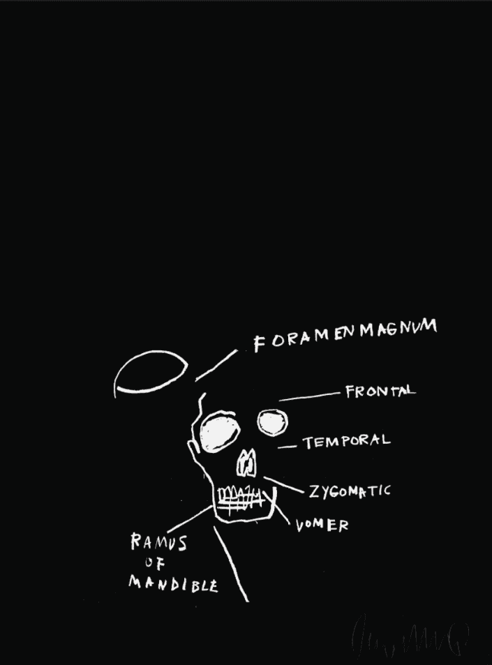 Jean-Michel Basquiat, ‘Skull from the Anatomy Series’, 1982, Print, Screenprint on Arches 88 woven paper, null, Numbered