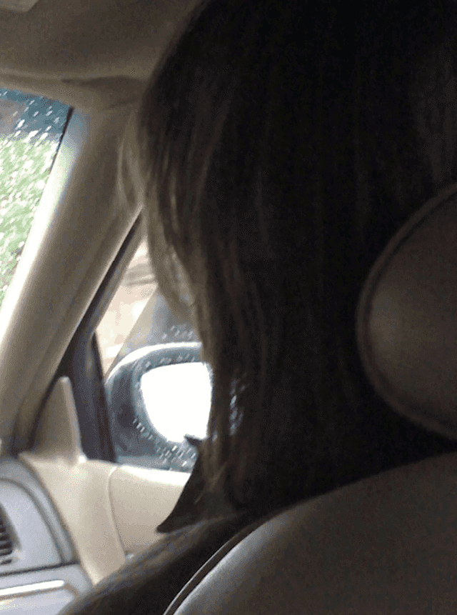 Jeff Wall, ‘Passenger’, 2008, Print, Inkjet-Print on paper, null, 