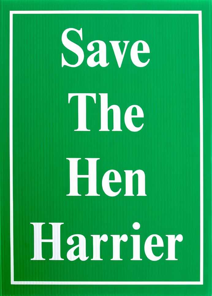 Jeremy Deller, ‘Save The Hen Harrier’, 04-03-2019, Print, Silkscreen on Correx board, Turner Contemporary, Numbered