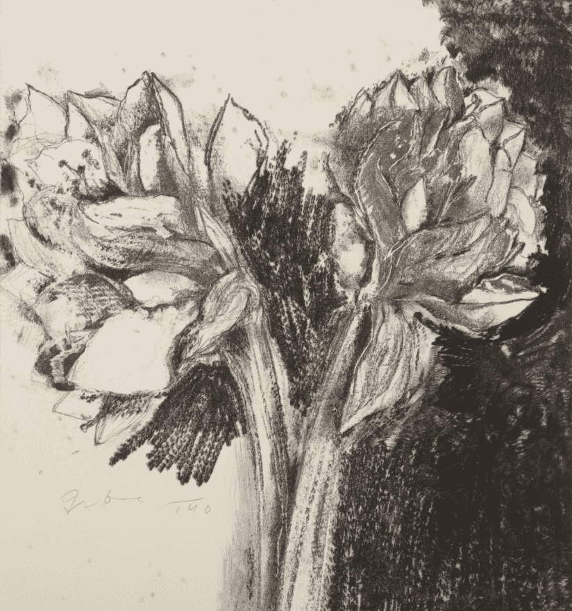 Jim Dine, ‘Entrada Drive’, 01-01-1970, Print, Lithograph on wove, Steidl, Numbered