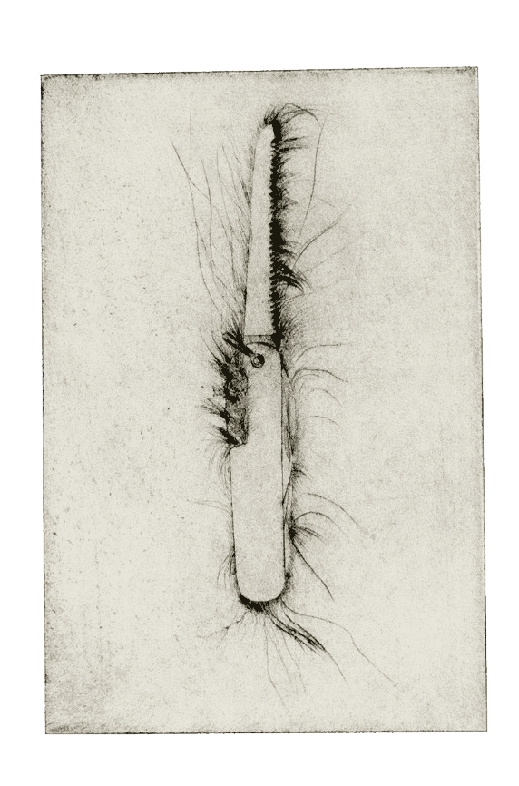 Jim Dine, ‘Hand Saw’, 1972, Print, Drypoint print on white Crisbrook Waterleaf paper, Petersburg Press, Numbered