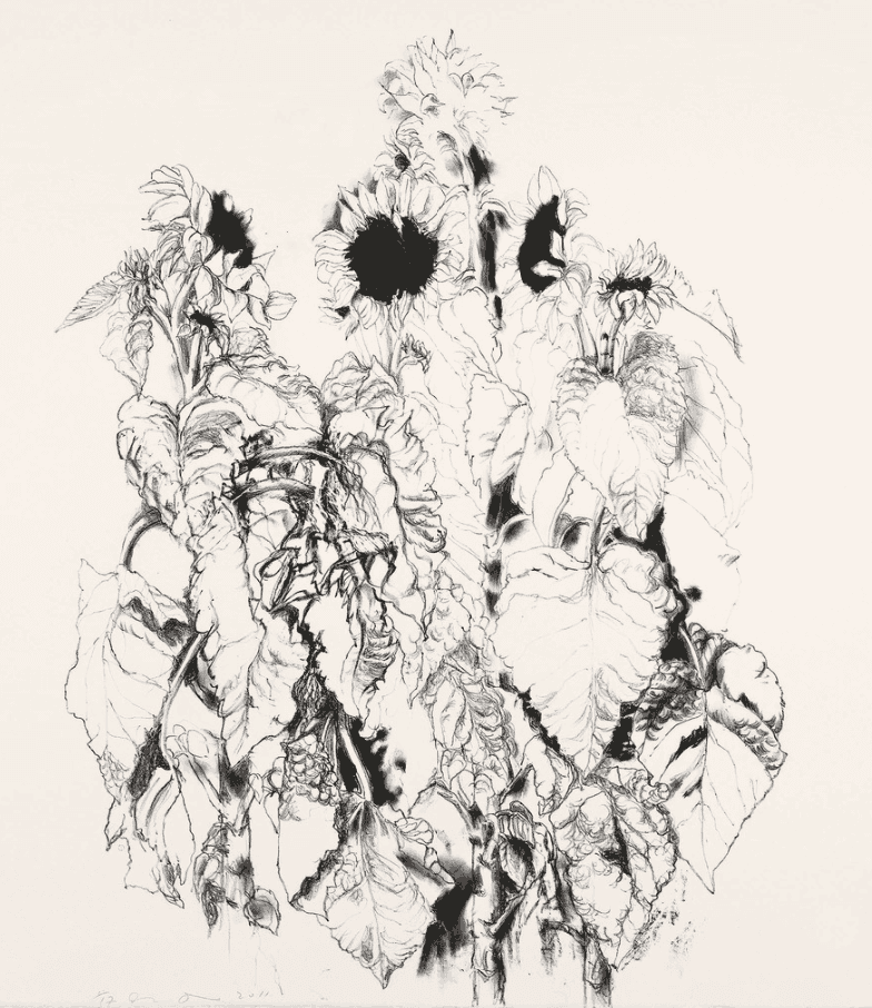Jim Dine, ‘Sunflowers’, 2011, Print, Lithograph on Hahnemühle White paper, null, 