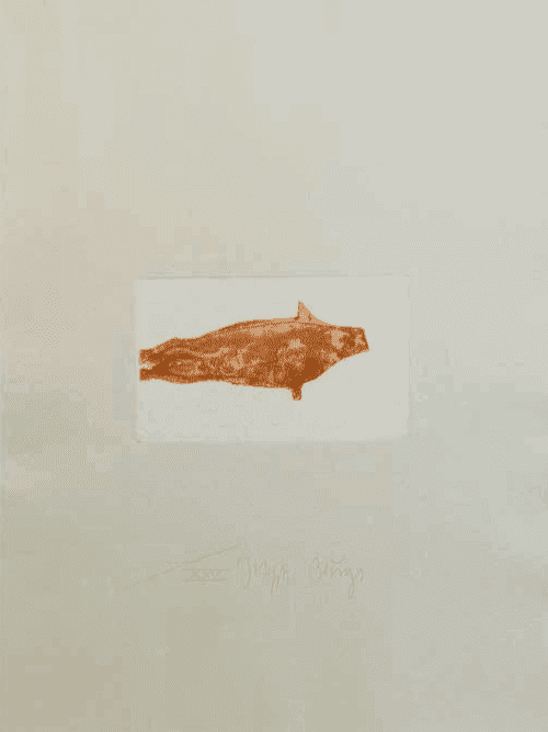 Joseph Beuys, ‘Robbe II’, 1982, Print, Etching and aquatint on gray Rives paper, null, Numbered