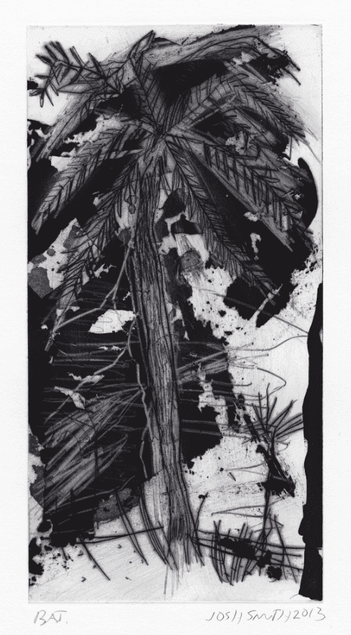 Josh Smith, ‘Wild Palms’, 2013, Print, Aquatint with sugar-lift, drypoint, and scraper, null, Numbered, Dated
