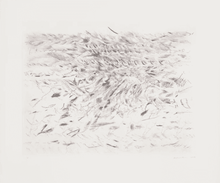 Julie Mehretu, ‘Algorithms, Apparitions, and Translations - 1’, 2013, Print, Etching with aquatint and drypoint, null, 