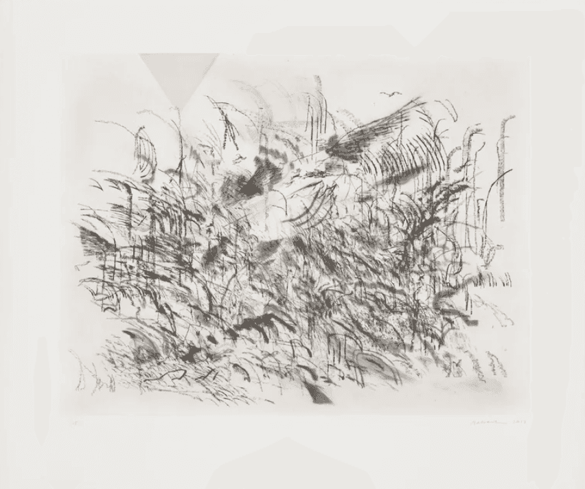 Julie Mehretu, ‘Algorithms, Apparitions, and Translations - 4’, 2013, Print, Etching with aquatint and drypoint, null, 