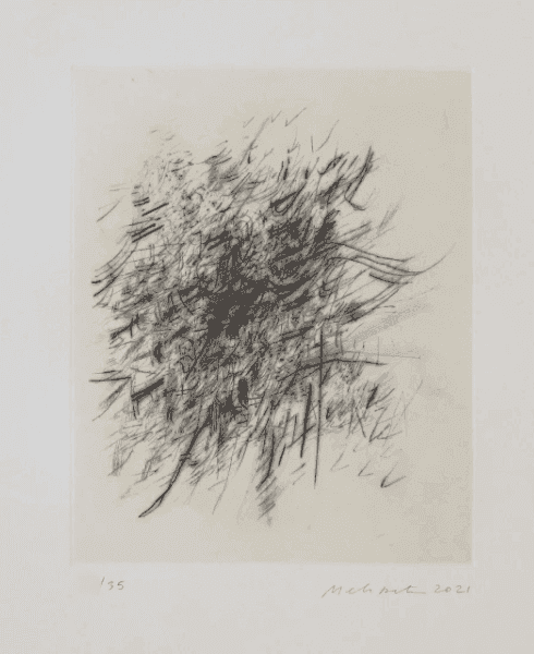 Julie Mehretu, ‘Amulet in a Crowd’, 2021, Print, Drypoint with Chine Colle, null, 