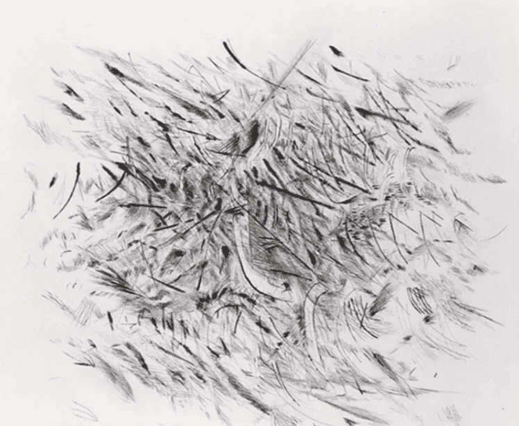 Julie Mehretu, ‘Haka (From artists for Obama)’, 2012, Print, 1-color etching with chine collé, null, 