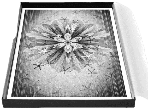 Kai & Sunny, ‘Lots of Bits of Star - Series 04 (Box Set)’, 2016, Print, 1 colour Heavy Impression on Somerset Velvet 300gsm, Self-released, Numbered
