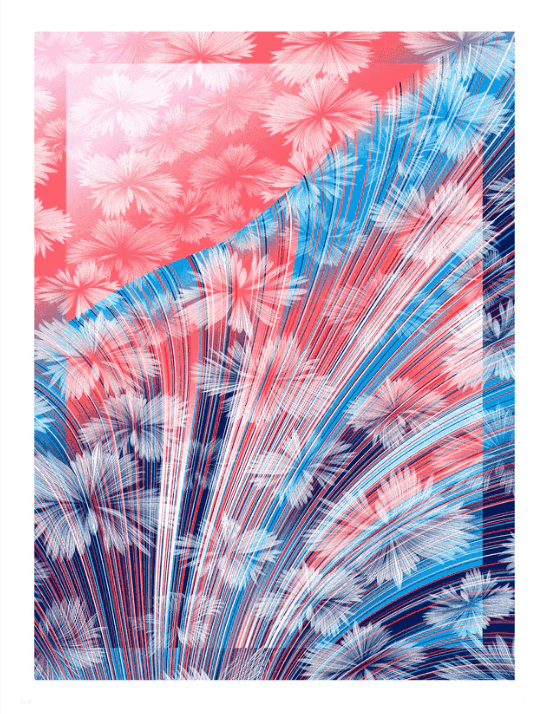 Kai & Sunny, ‘Tipping Point - Flower’, 2024, Print, Hand pulled 6 colour screen print on 100% cotton Somerset radiant white 410gsm, Corey Helford Gallery, 
