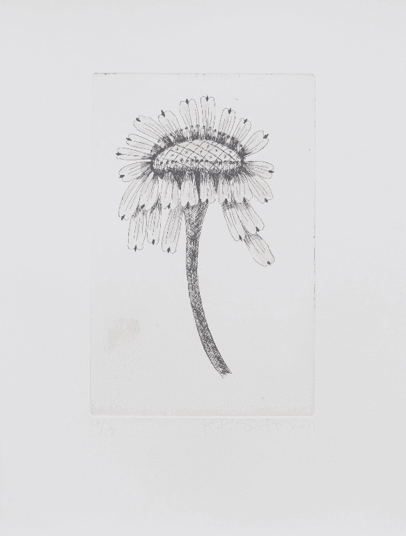 Kiki Smith, ‘Escapades VII’, 2011, Print, Etching, Harlan & Weaver, Numbered