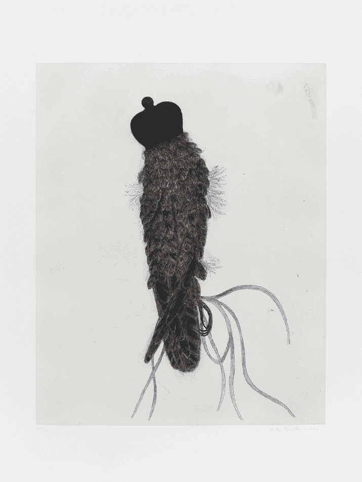 Kiki Smith, ‘Falcon’, 2001, Print, Etching and aquatint in blue and black, null, Numbered
