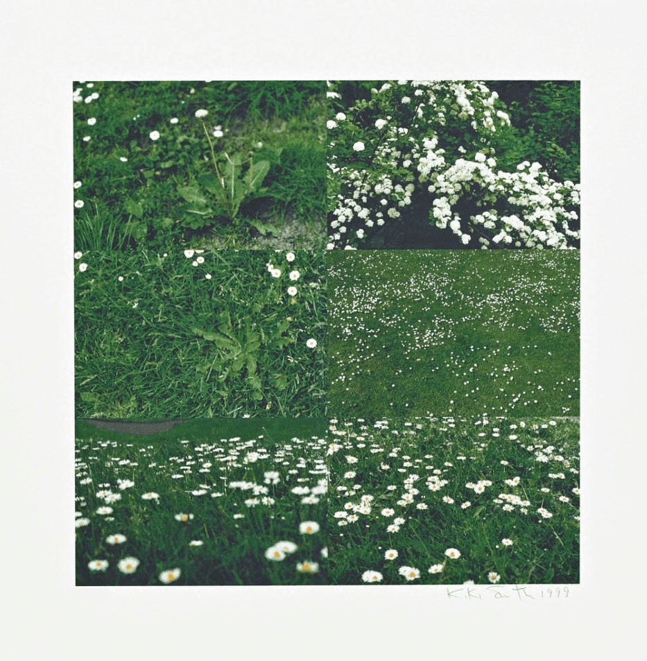 Kiki Smith, ‘Little Meadow’, 1999, Print, Iris print, Pace Editions, Inc., Numbered, Dated