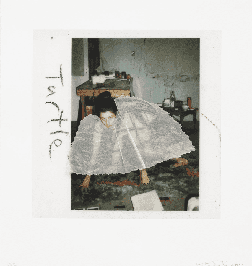 Kiki Smith, ‘Turtle’, 2000, Print, Dimensional iris print with collage, null, Numbered, Dated