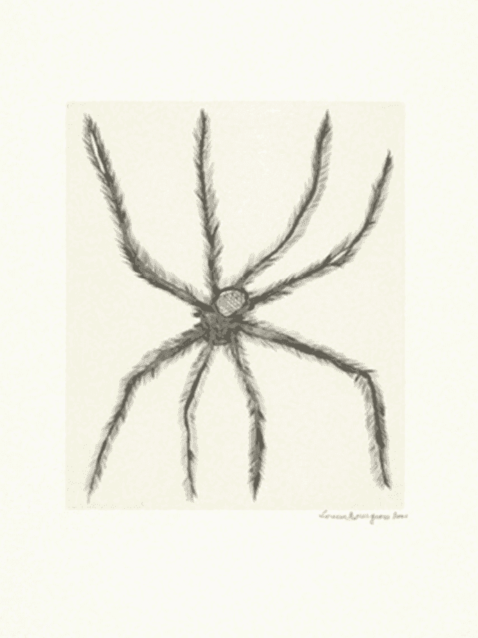 Louise Bourgeois, ‘Hairy Spider’, 2001, Print, Drypoint on Smooth, wove paper, null, Numbered, Dated