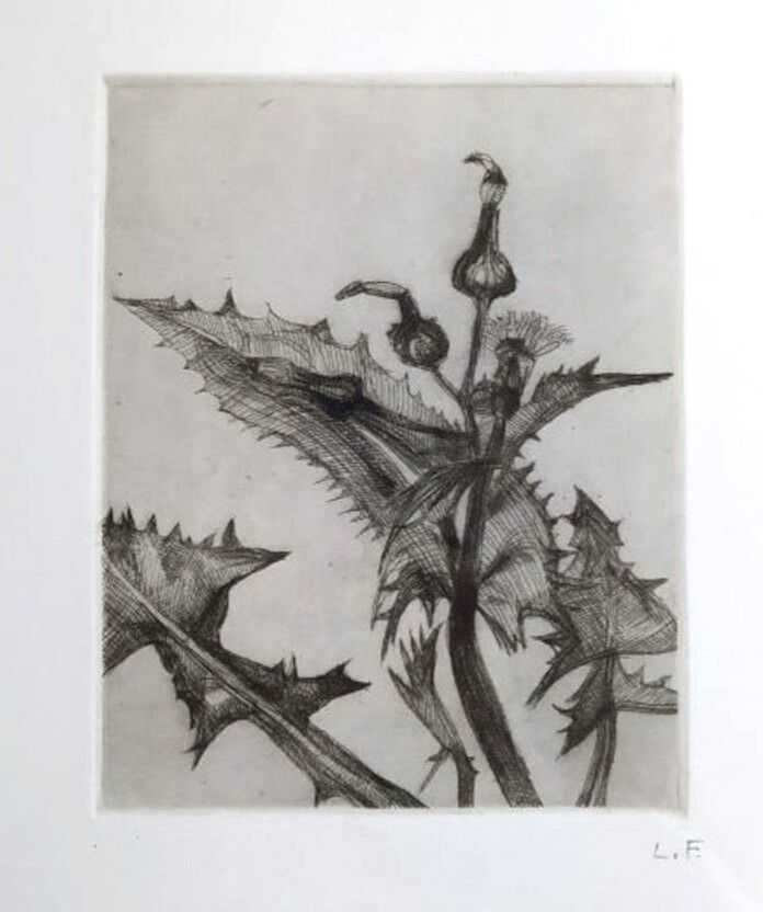 Lucian Freud, ‘Thistle’, 1985, Print, Etching, null, Numbered
