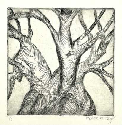 Madeleine Logan, ‘Etching Tree’, 2011, Print, Hand-pressed metal etching on 250 gsm fine-art paper., null, 